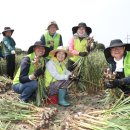 대정농업협동조합 농산물산지유통센터 이미지