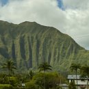 인천연학초등학교장 | 하와이 초등학교 체험학습 신청서 작성
