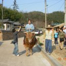 개실마을_3 이미지