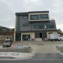 당차당