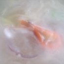 송정희칼국수