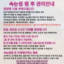 스케치온유