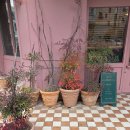 세븐일레븐대전도안우리점 | 대전 유성구 마르디! 원신흥동·도안 호수공원 브런치 &amp; 파스타 맛집, 라구 파스타 찐후기