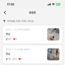 도그베이 미사점 이미지