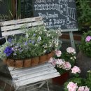 벤자민&데이지 이미지