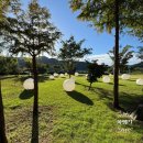 팔랑리 | 강원도 양구 레이크한(LAKE HAN) 카페 – 한반도섬 호수 뷰 맛집