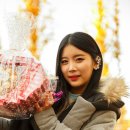 비피팝 카카오 검색결과