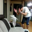 (주)쥬넥스 | 이하루, Give Me Your TMI