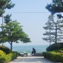 한멕스어뮤즈먼트(주) | [블챌] 두번째_ 부산여행기2(해운대, 베이몬드 호텔, 테하노 텍스멕스 타코)
