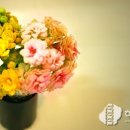 허리인한의원 이미지