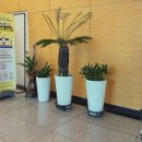 책마루 의왕시 중앙도서관 이미지