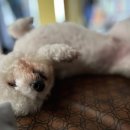 삼탄슈퍼 이미지