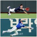다이빙플러스 이미지