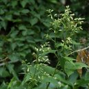 산골짜기민박 이미지