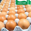 금포영농조합법인 이미지