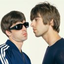 오아시스 이미지