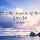 창대구제 이미지