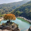 (주)삼성궁