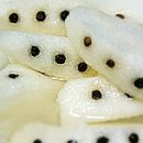 다과레시피 이미지