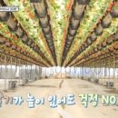 발산 농장 이미지