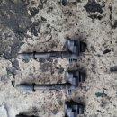 정비디오 이미지