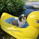 하늘짚펜션 이미지