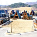 대관령 양떼마을 펜션 네이버블로그