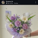 플로맨스 이미지