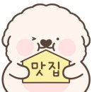 만천하스카이워크 알파인코스터 이미지