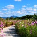 현감 고유 선정비 이미지