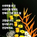 오늘은좋은날