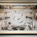 7월 사서컬렉션 연계 행사 식물과 함께 행복하게 사는법 | [서울 노들섬] 📌한국 최초 공개! 「바티망 전시」 찍고 📌광장시장 총각네 붕어빵 찍고