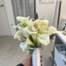 비(B) | [창원] 부케 말리기 선물 추천 플로르비 FLOR.B 내돈내산 후기_유리 돔