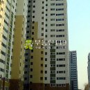 삼호로-1 이미지