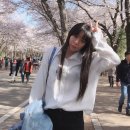 얼큰이곱창 이미지