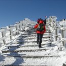 제주도 한라산 등반 및 올레길 관광 특별산행 공지 (2010년 1월27일~28일) 이미지