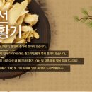 정선600농원