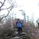 선달농장 | 쥬라기 공원 탈출기