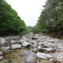 미시령계곡캠핑장 이미지