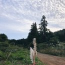 늘푸른 관광농원 이미지