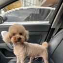 컴피 화명점 이미지