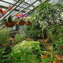 한택식물원주차장 이미지