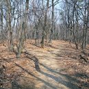 최혼선생묘 이미지