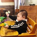 소프트윙즈 이미지