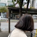 헤어살롱주니와주리 이미지