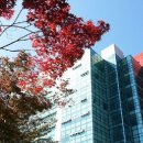 용인대학교 이미지