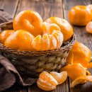 샛별농장 이미지