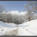 언덕위에 이미지