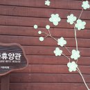 흥림산자연휴양림 이미지