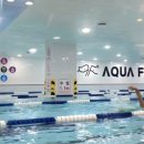 아쿠아펠리스 수영장 이미지
